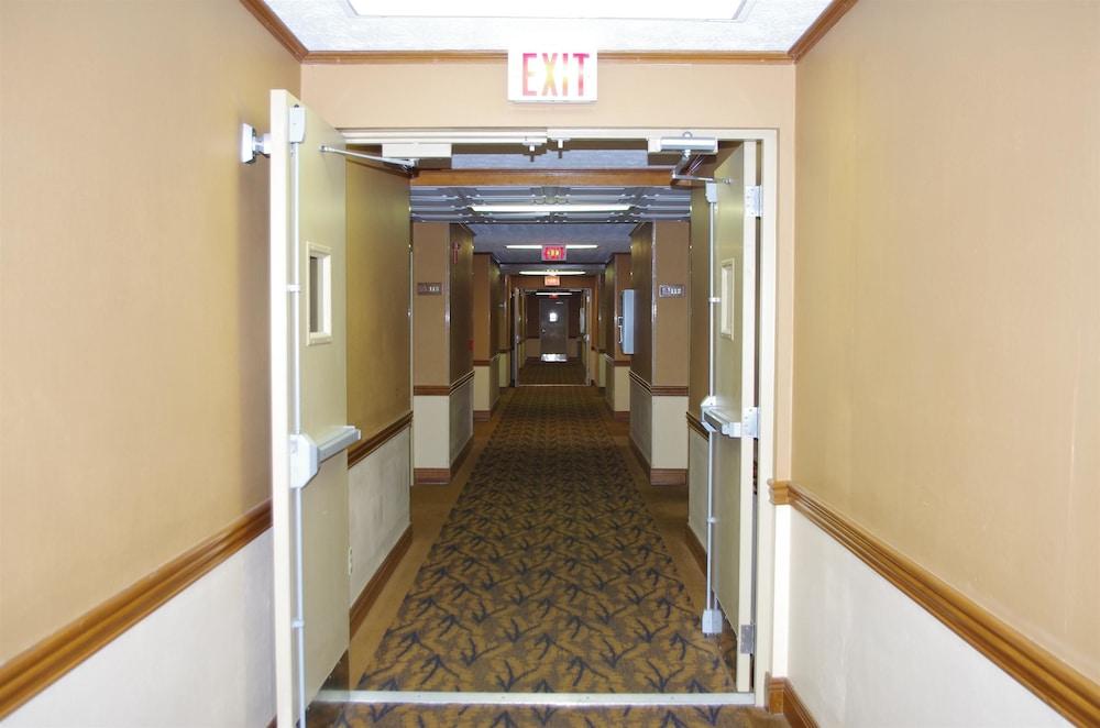 Best Western Campbellsville Inn Extérieur photo